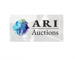 ARI Auctions